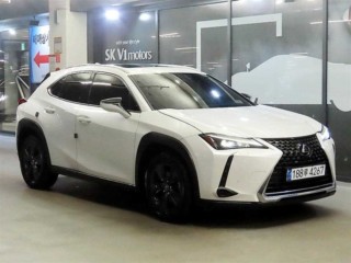 UX 250h UX