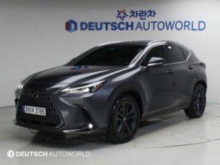 NX 350h NX