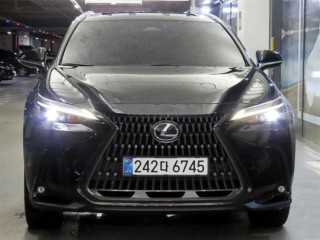 NX 350h NX