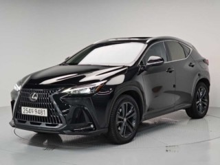 NX 350h NX