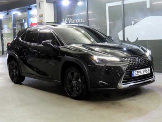 UX 250h UX
